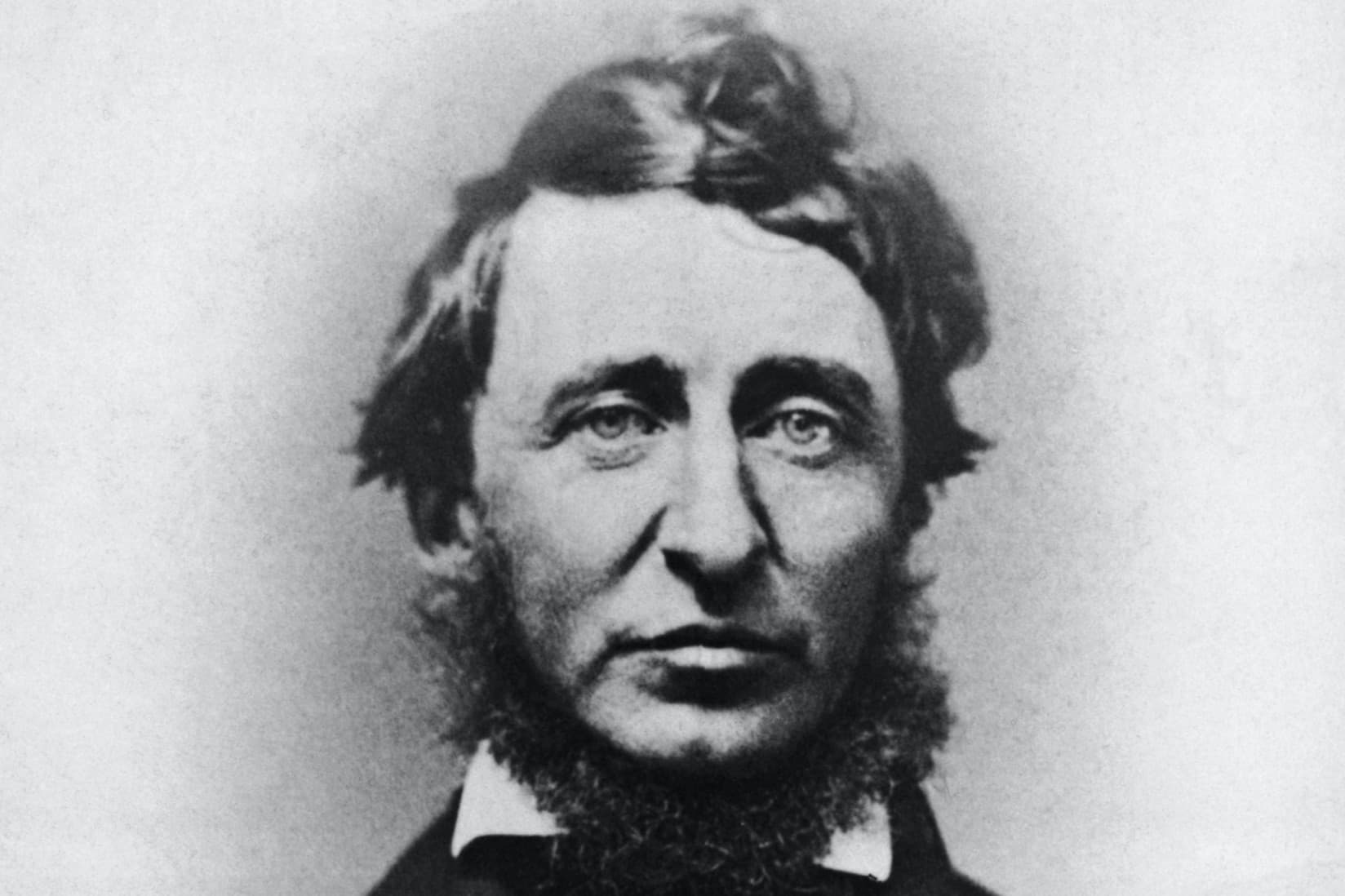 Edilgen Özgürlükler ve İnsan Muhakemesi Üzerine Alternatif İktisat: Henry David Thoreau