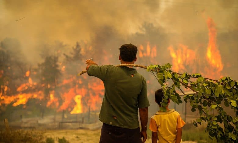Türkiye’deki Orman Yangınları Üzerine: Ne Yapmalı? Nerden Başlamalı?